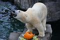 2015-10-22 06-31-36 (2)